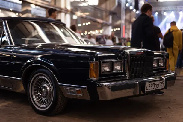 Casino Wild Jack Android/iOS Forrit